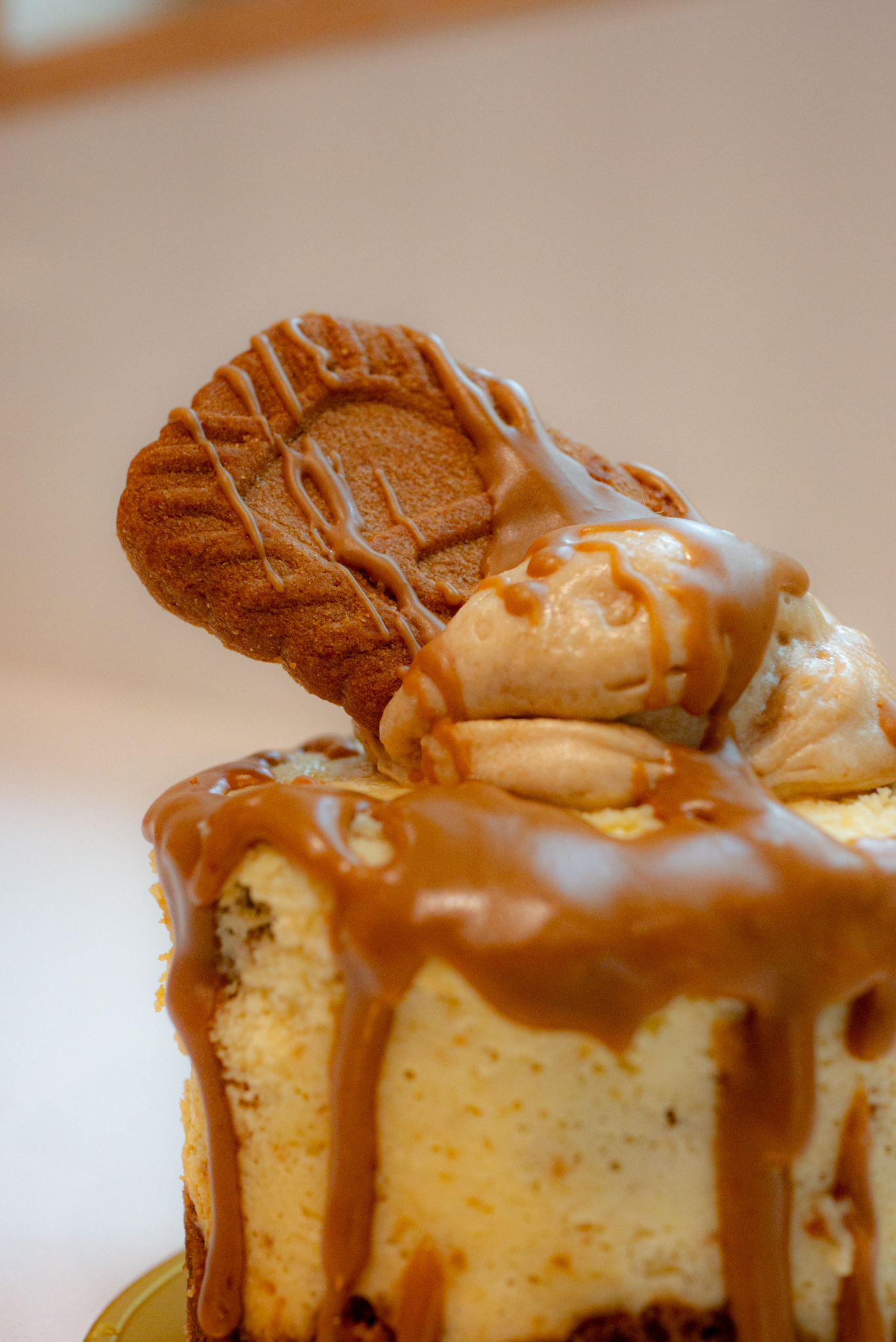 Biscoff Cheesecake (Mini) view 3